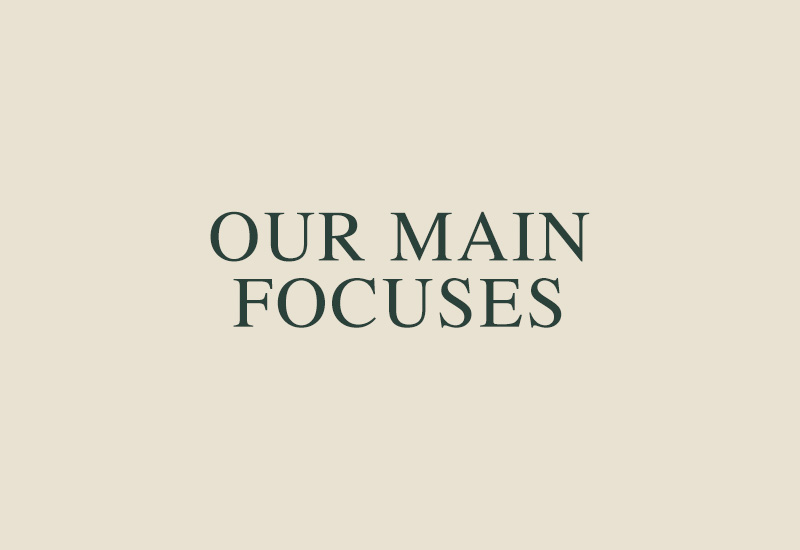 ourmainfocuses-sb.jpg